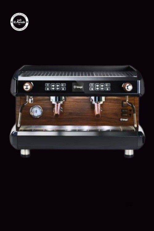 Profesjonalny dwukolbowy ekspres do kawy LUX – włoska elegancja dla kawiarni i restauracji.jpg